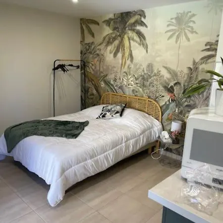 Au Bon Pied Apartment